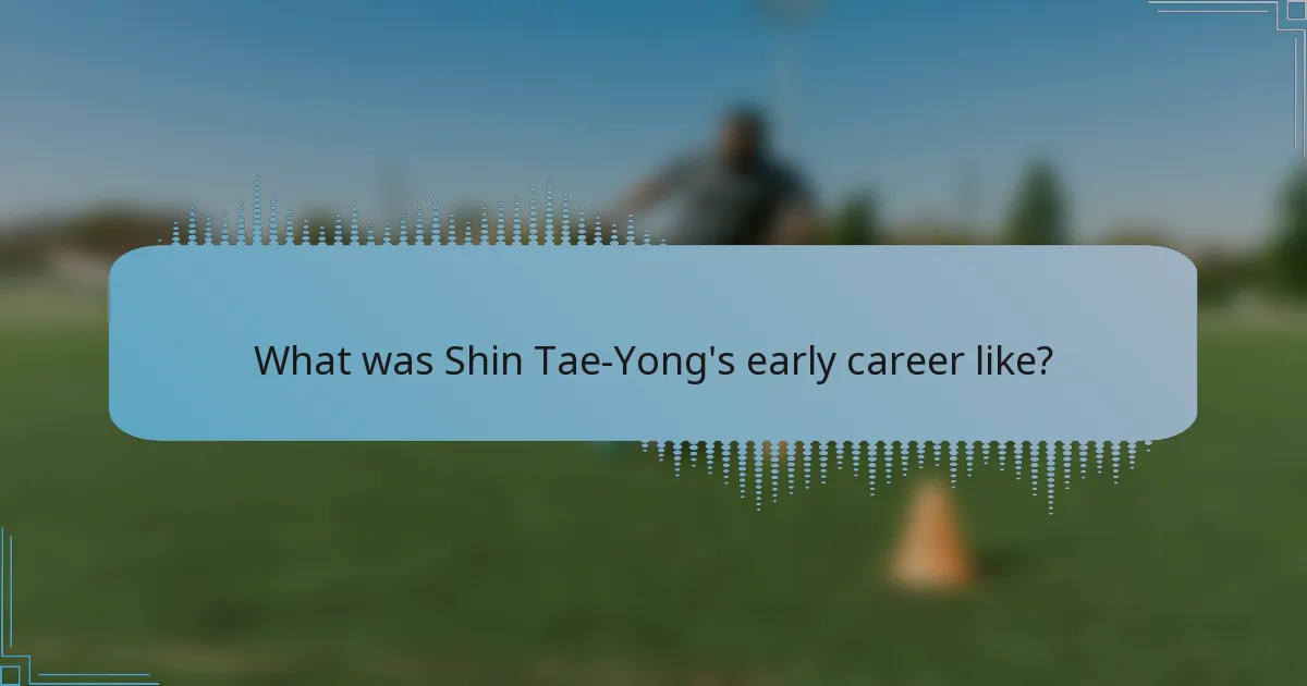 What was Shin Tae-Yong's early career like?